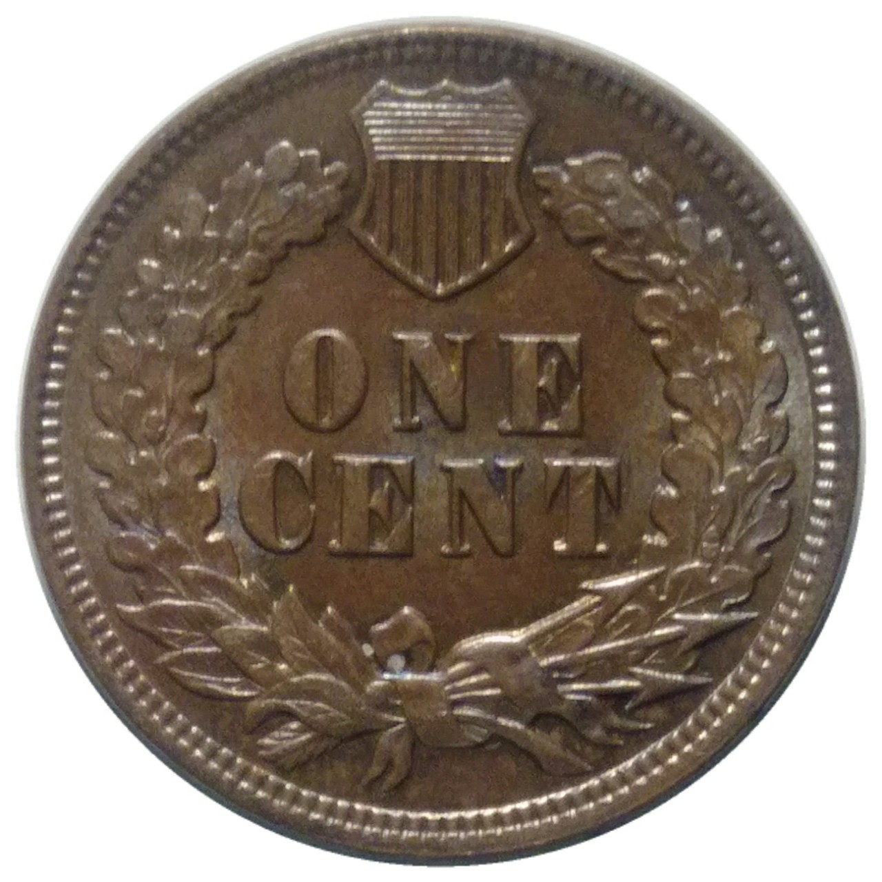 1905-Indian-Head-Cent-#3